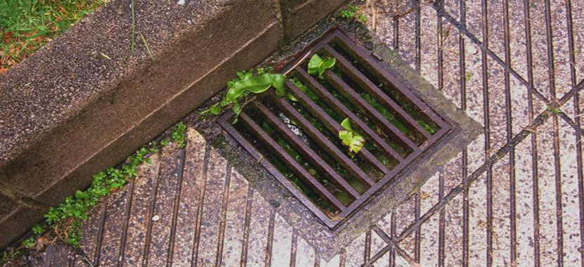 Como limpar o ralo do jardim: